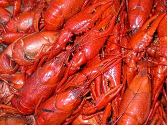 crawfish-091.jpg